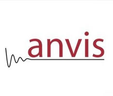 ANVIS AUTOMOTIVE SPAIN  S.A.U.